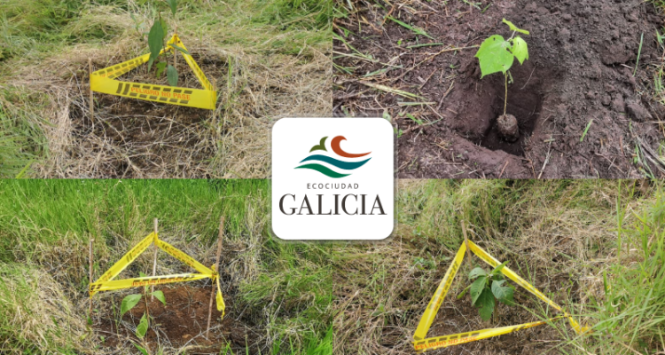 Siembra en Galicia